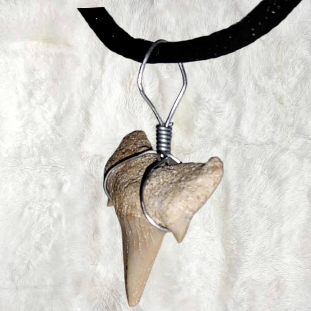 Genuine Fossilized Shark Tooth Pendant w/ Cord Necklace